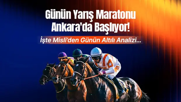 Ankara hipodromunda yarışa hazırlanan safkan atlar.