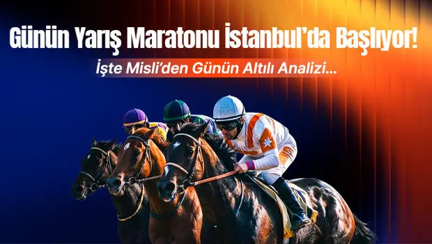 İstanbul hipodromunda koşan yarış atları