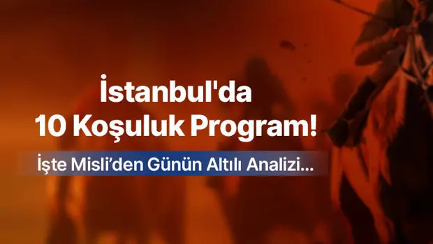 İstanbul hipodromunda yarışan atlar