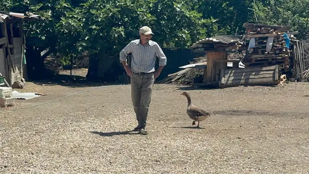 Süleyman Koçoğlu ve 10 yıldır yanından ayrılmayan kazı.