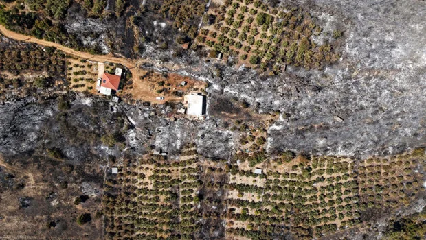 Antalya'daki orman yangını sonrası küle dönmüş ormanlık alanların havadan dron görüntüsü, bazı bölgelerden duman yükseliyor.
