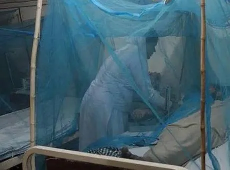 Dang humması taşıyan sivrisinek illüstrasyonu, Bangladeş'teki salgın tehlikesini vurguluyor.