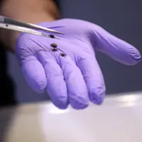 Kene ısırığı ve sağlık riskleri hakkında uyarıcı görsel.