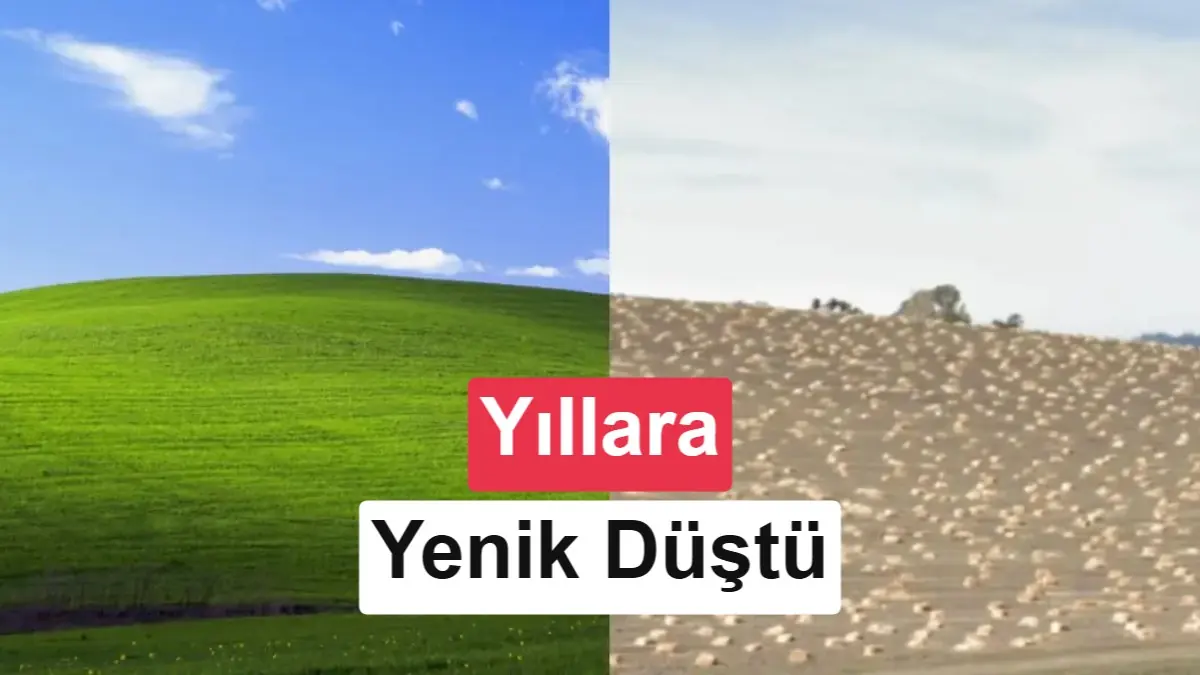 Windows XP'nin ikonik duvar kağıdı Bliss'in çekildiği tepe artık yok
