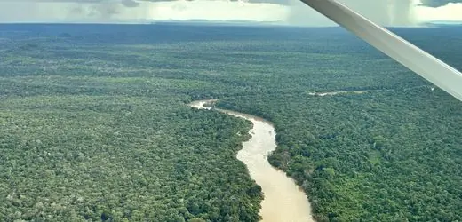 Luftaufnahme des Amazonas-Regenwaldes in Brasilien, die einen starken Kontrast zwischen dichtem, grünem Wald und gerodeten...