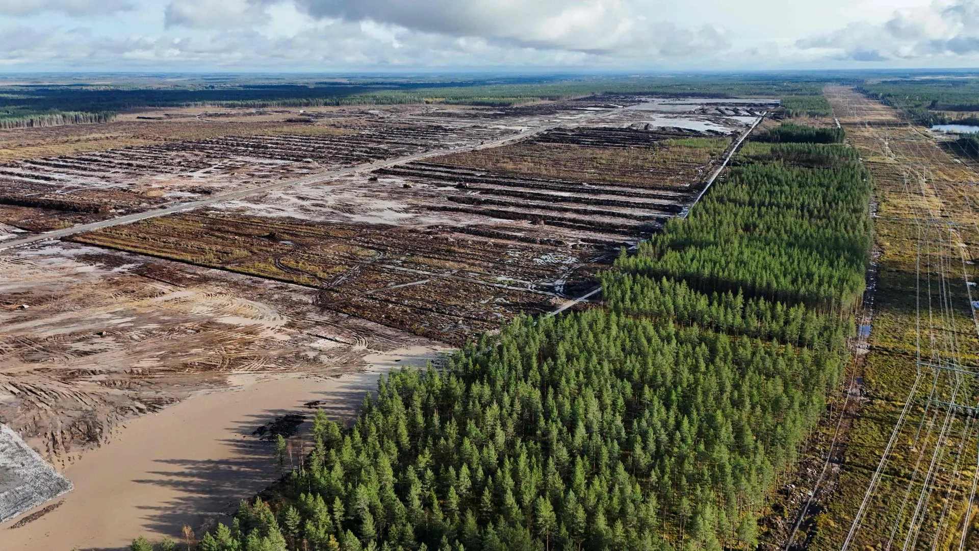 Große Waldfläche in Finnland gerodet für Google-Rechenzentrum